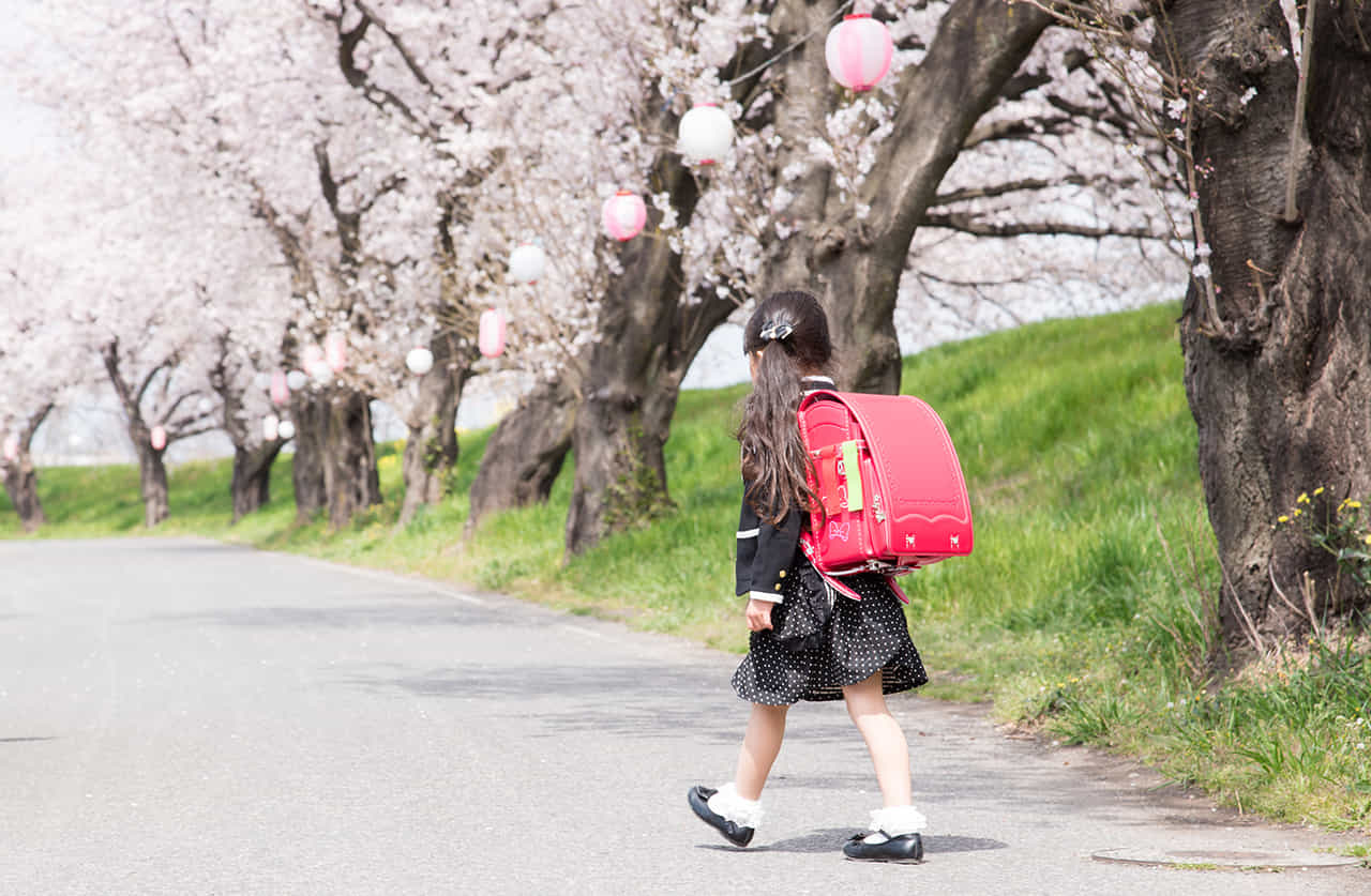 桜並木で入学式に向かうランドセルを担いだ女の子